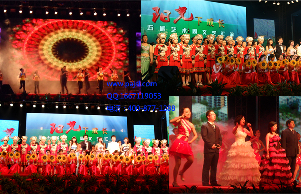 茄子短视频污大型演出音响设备-重庆万盛区案例