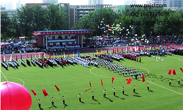 茄子短视频污体育场馆音响系统解决方案--重庆人和体育场案例