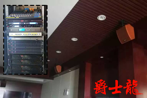 茄子短视频污会议室音响系统