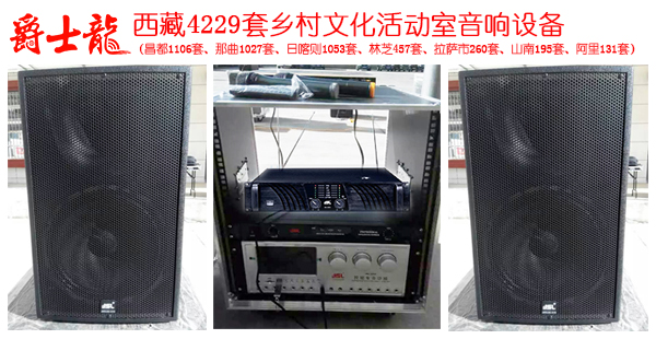 茄子短视频污专业音响 演出音响设备