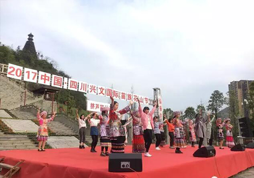 8+4线阵音响系统助阵四川兴文(国际)苗族花山节