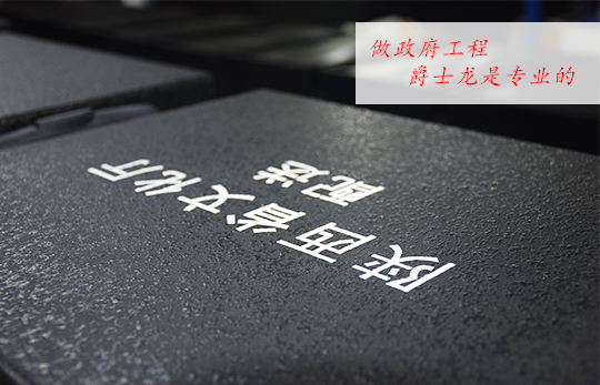 做陕西政府文化下乡项目 万昌音响是专业的