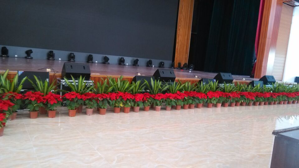 中山市卓雅外语学校