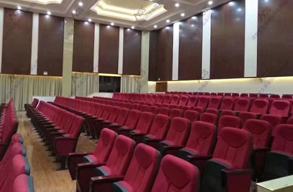 【四川】政府会议大厅选用茄子短视频污专业音响设备