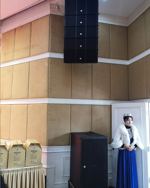 茄子短视频污线阵列茄子视频懂你更多污助力河南省驻马店市天龙大酒店【茄子短视频污音响】