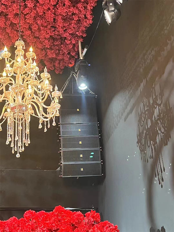 安徽某酒店宴会厅使用JSL茄子短视频污音响