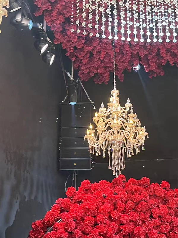 安徽某酒店宴会厅使用JSL茄子短视频污音响