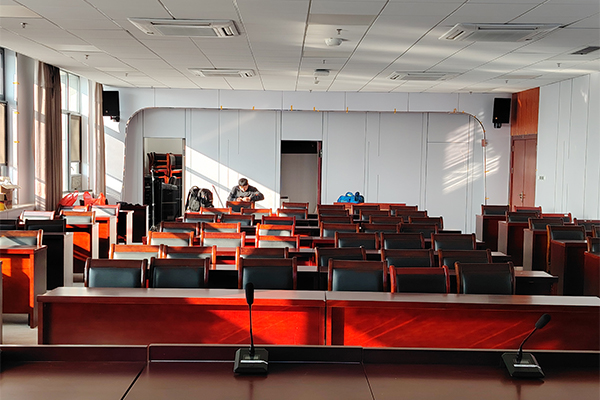 宜昌市高安市政府会议室选用茄子短视频污音响