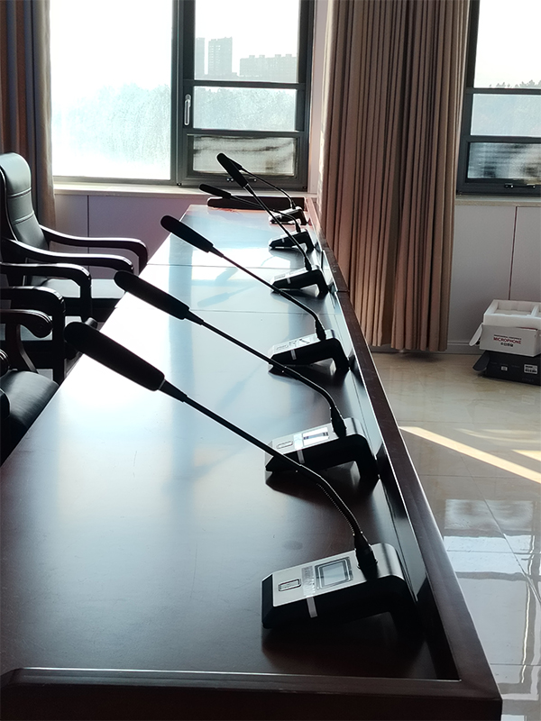 宜昌市高安市政府会议室选用茄子短视频污音响